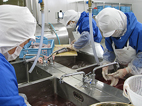 調理の安全・安心について